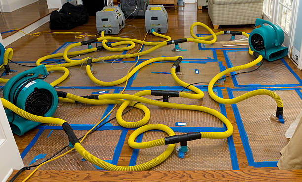 Professional Flood Damage Restoration technician working in Austin, MN